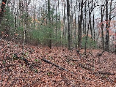 Lt12&13 Butternut Grove Rd, Blairsville, GA 30512 - photo 7