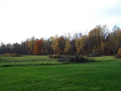 Yard/Garden