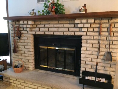 146 Piney Woods Dr, Jim Thorpe, PA 18229 - photo 3