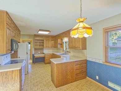 223 Maple St N, Lester Prairie, MN 55354 - photo 3