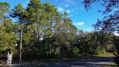 7939 Rhanbuoy Rd, Spring Hill, FL 34606 - photo 5