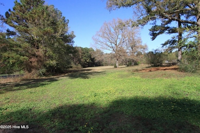 0 Cedar Lane Rd unit 100537646, Sanford, NC 27332 - photo 6