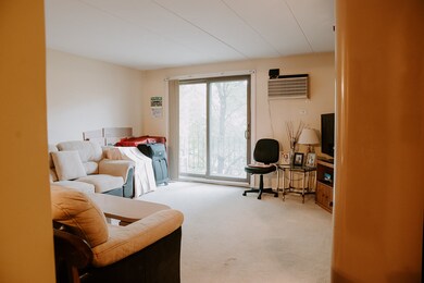 1220 S Lorraine Rd unit 2C, Wheaton, IL 60189 - photo 7