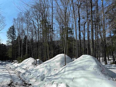 360 Dorman Rd, Andover, VT 05143 - photo 7