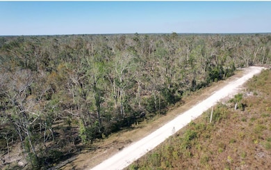 00 237th Drive Lot 5, Live Oak, FL 32060 - photo 3