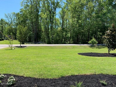 LARGE FRONT YARD