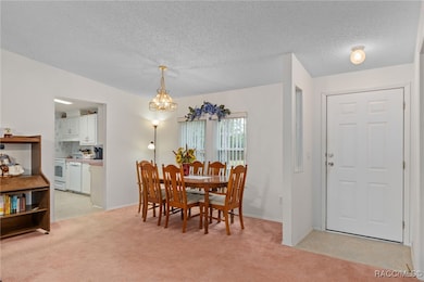 6329 & 6355 S Canna Lily Ave, Homosassa, FL 34446 - photo 7