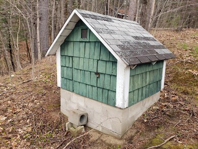 Driven point water source.