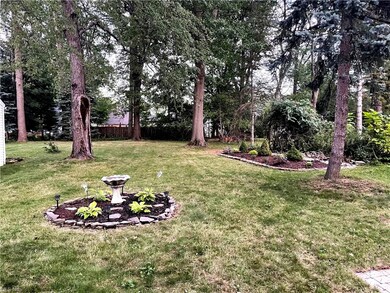 Beautiful Backyard