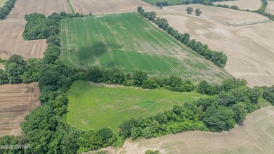 -- Holcomb Rd, Ripley, TN 38063 - photo 7