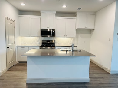 13060 Teton St, Frisco, TX 75035 - photo 6