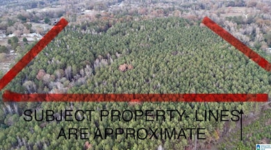 100 Presbyterian Church Rd, West Blocton, AL 35184 - photo 4