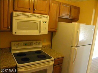 8628 Village Way unit 16/862, Alexandria, VA 22309 - photo 7