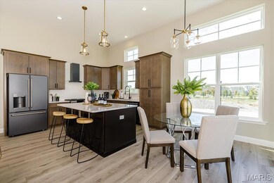 0 Unknown unit MIS25067012, O'Fallon, MO 63385 - photo 4