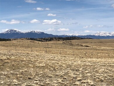 0 Lenape Trail unit S1035343, Hartsel, CO 80449 - photo 2