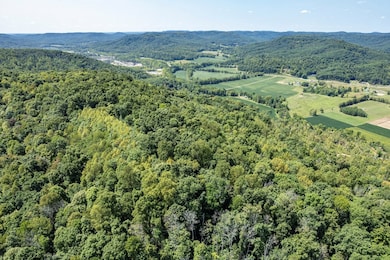 4655 Grassy Fork Rd, Peebles, OH 45660 - photo 5