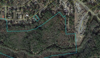 399 Travelers Rest Rd, Montezuma, GA 31063 - photo 6