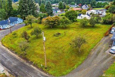 3323 Romane Rd, Raymond, WA 98577 - photo 2