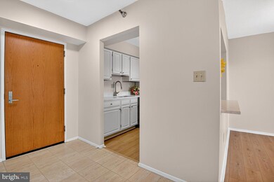 Encore of McLean unit 507, McLean, VA 22102 - photo 6