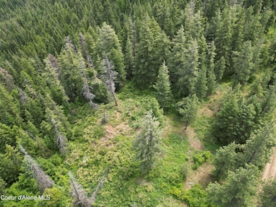 Ridge line