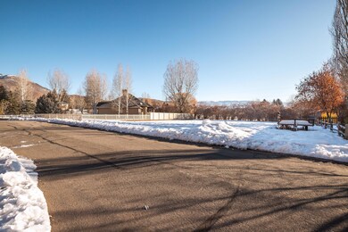 918 N Swiss Farm Cir, Midway, UT 84049 - photo 5