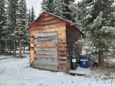 L11 B3 Tri Valley, Healy, AK 99743 - photo 7