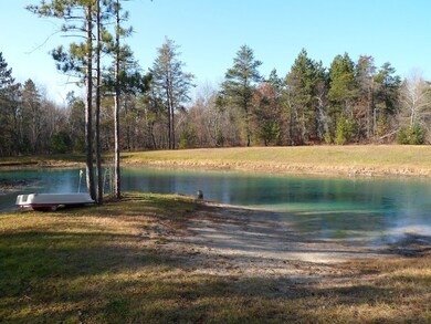 Pond