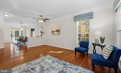 2201 Kimball Place, Silver Spring, MD 20910 - photo 6