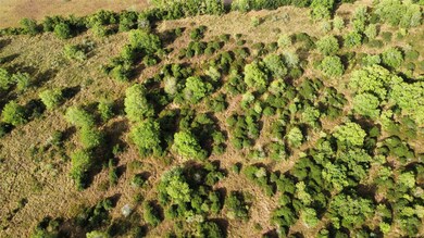 0 Blase Rd, Rosenberg, TX 77471 - photo 5