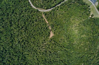 0 Mouse Tail Rd, Parsons, TN 38363 - photo 6