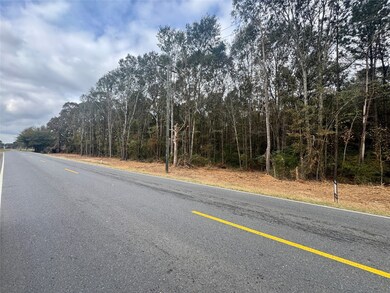 0 Keithville-Springridge Rd, Keithville, LA 71047 - photo 3