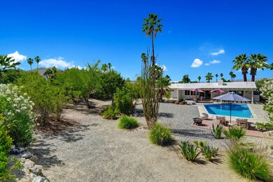 73297 back yard 2