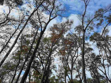 00 288th Terrace, Branford, FL 32008 - photo 5