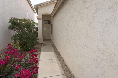 Front Walkway