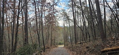 Tract 30 Deerfield Estates, Fairmount, GA 30139 - photo 3