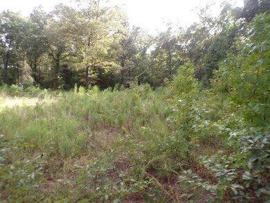 Wooded lot