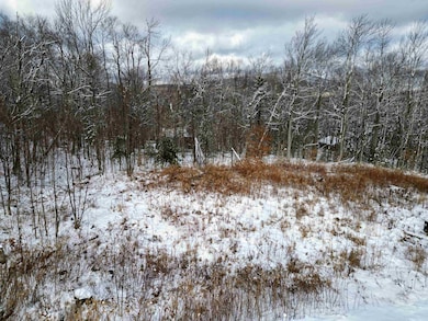 41 Moose Hollow Rd, Winhall, VT 05340 - photo 2