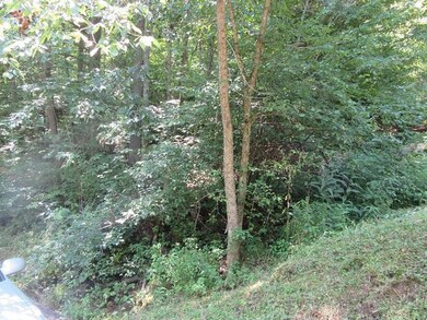 IMG_1566