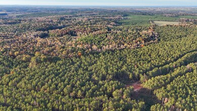 0 County Rd 95, Lafayette, AL 36862 - photo 7