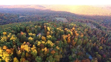 17770 S Highway 71, Winslow, AR 72959 - photo 2