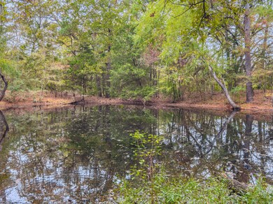 N S Acr 163, Elkhart, TX 75839 - photo 7