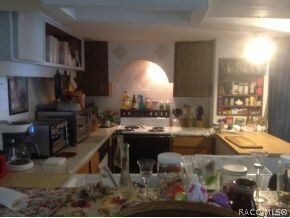 Kitchen (another view)