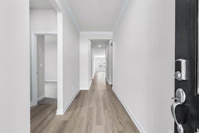 Hall with ornamental molding and light wood-type f