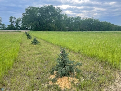 Tree lined boundary