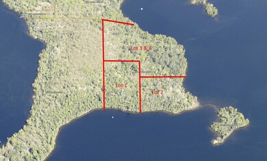 Lot 1 Wakemup Narrows N, Cook, MN 55771 - photo 4