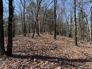 0 Fox Ridge Rd unit 25010505, Little Rock, AR 72223 - photo 2