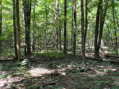 0 Ruff Rd unit 4496008, West Salem, OH 44287 - photo 6