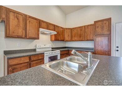 641 Mt Princeton Dr, Severance, CO 80550 - photo 4