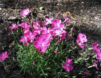 9 Arch St, Westborough, MA 01581 - photo 5