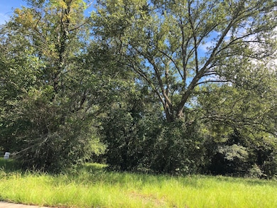 Magnolia Walk Lot 3
